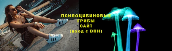 шишки Алексин