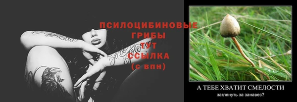 ПСИЛОЦИБИНОВЫЕ ГРИБЫ Алексеевка