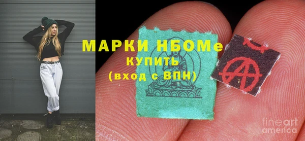 шишки Алексин