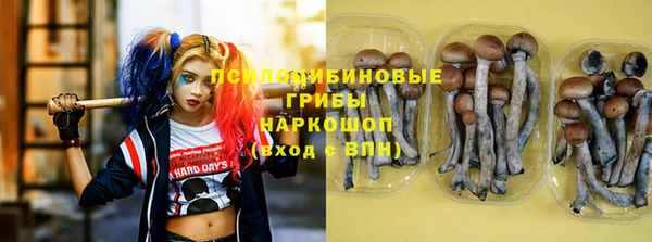 ПСИЛОЦИБИНОВЫЕ ГРИБЫ Алексеевка
