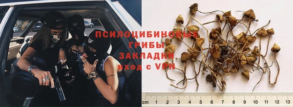 шишки Алексин