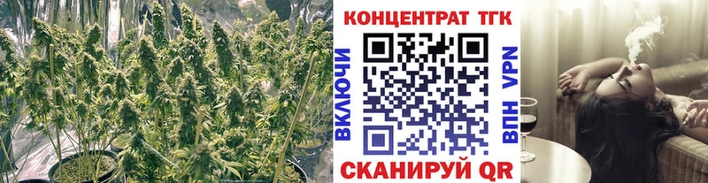 Дистиллят ТГК Wax  где можно купить   Катав-Ивановск 