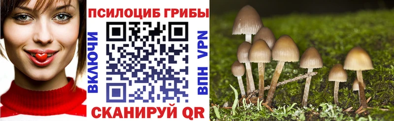 Псилоцибиновые грибы ЛСД площадка телеграм Катав-Ивановск где купить