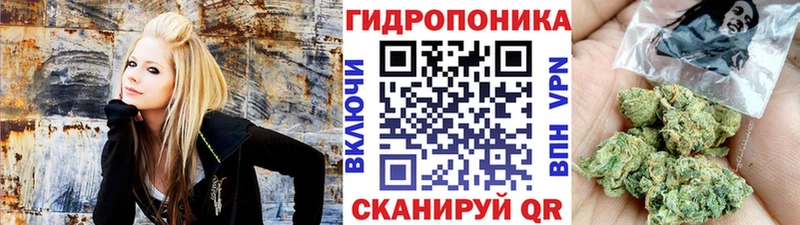 Каннабис конопля  Катав-Ивановск 